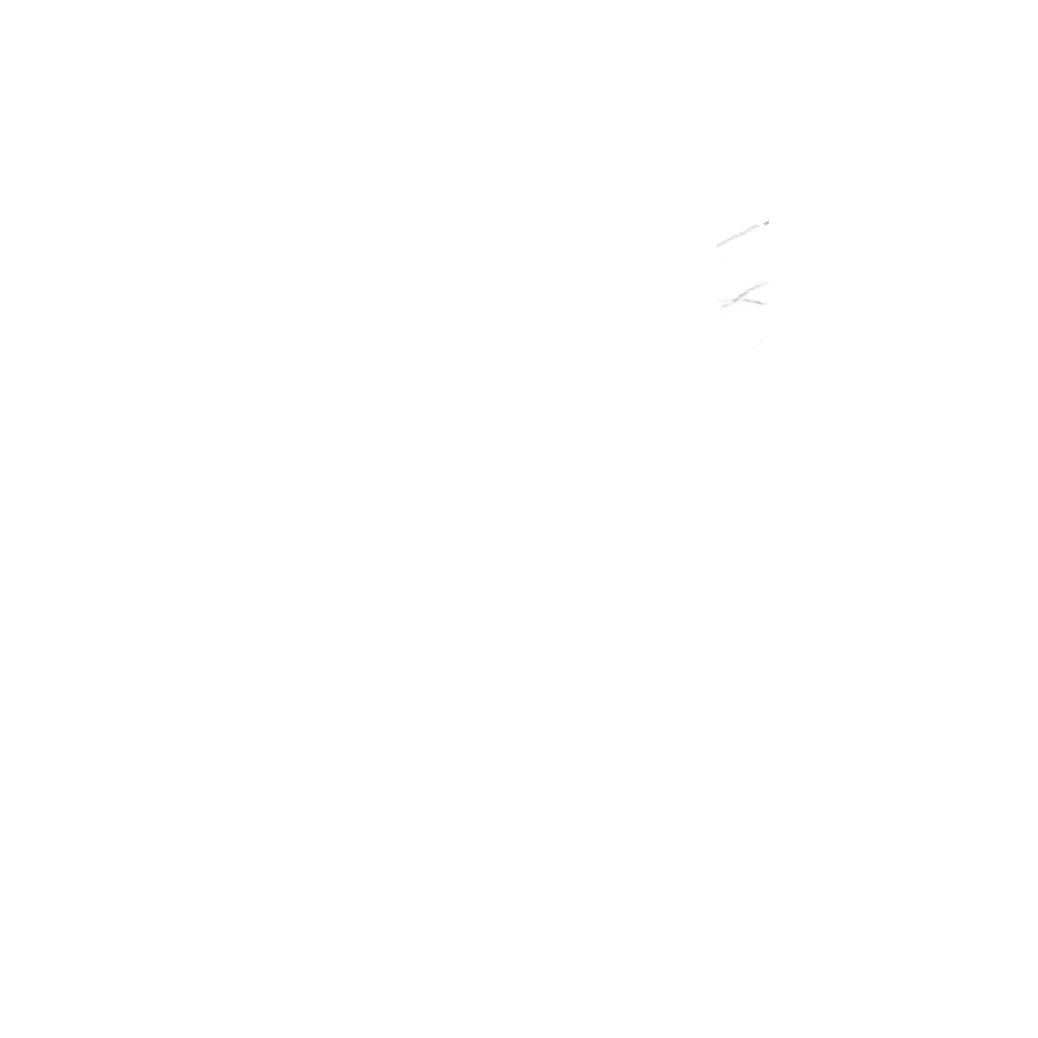 Product image 106
